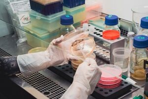 Cu ce se ocupă microbiologia?